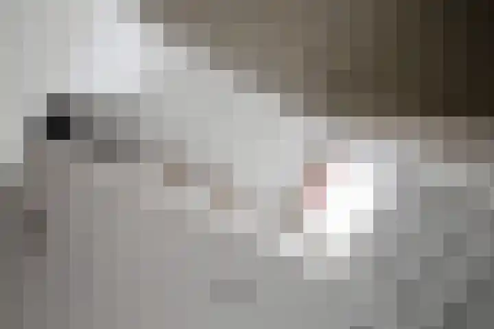 Ramen 40 Alkmaar thumbnail 25