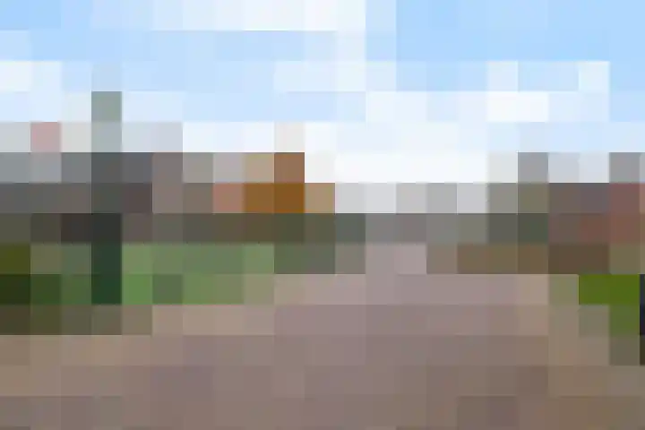 Ramen 40 Alkmaar thumbnail 34