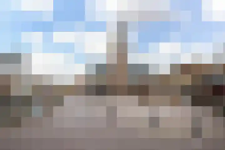 Ramen 40 Alkmaar thumbnail 36