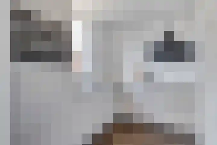 Ramershaag 11 Maastricht thumbnail 10