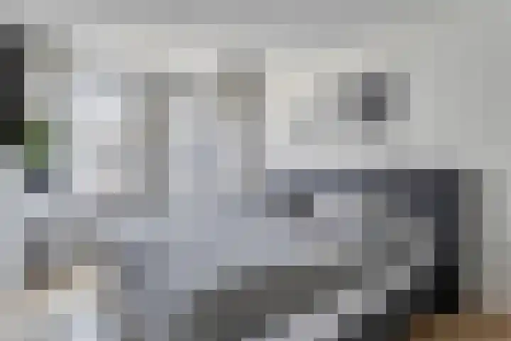 Ramershaag 11 Maastricht thumbnail 15