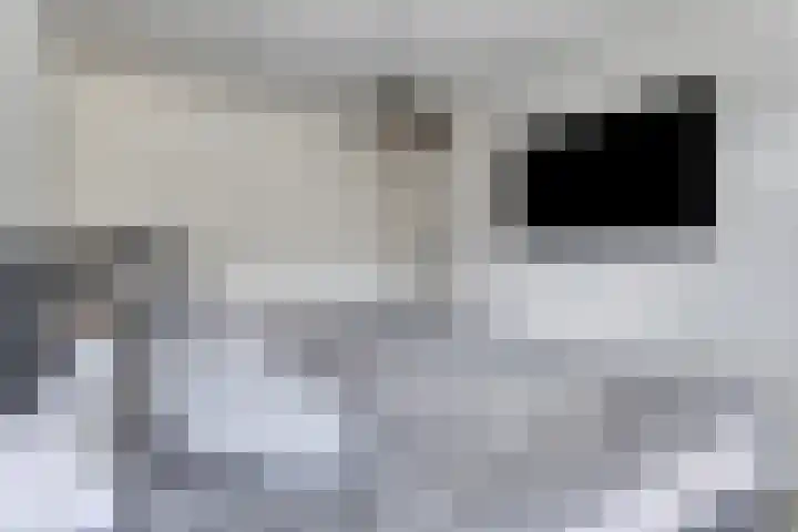 Ramershaag 11 Maastricht thumbnail 16
