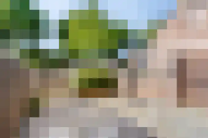 Ramershaag 11 Maastricht thumbnail 24
