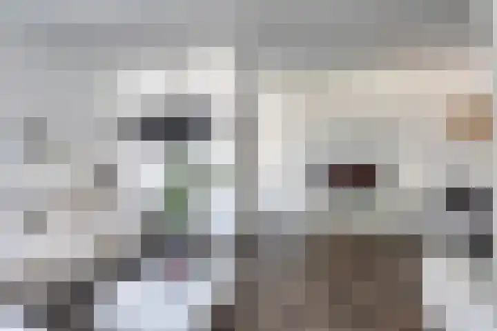 Ramershaag 11 Maastricht thumbnail 5