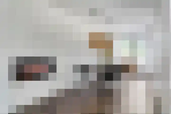Ramershaag 11 Maastricht thumbnail 7