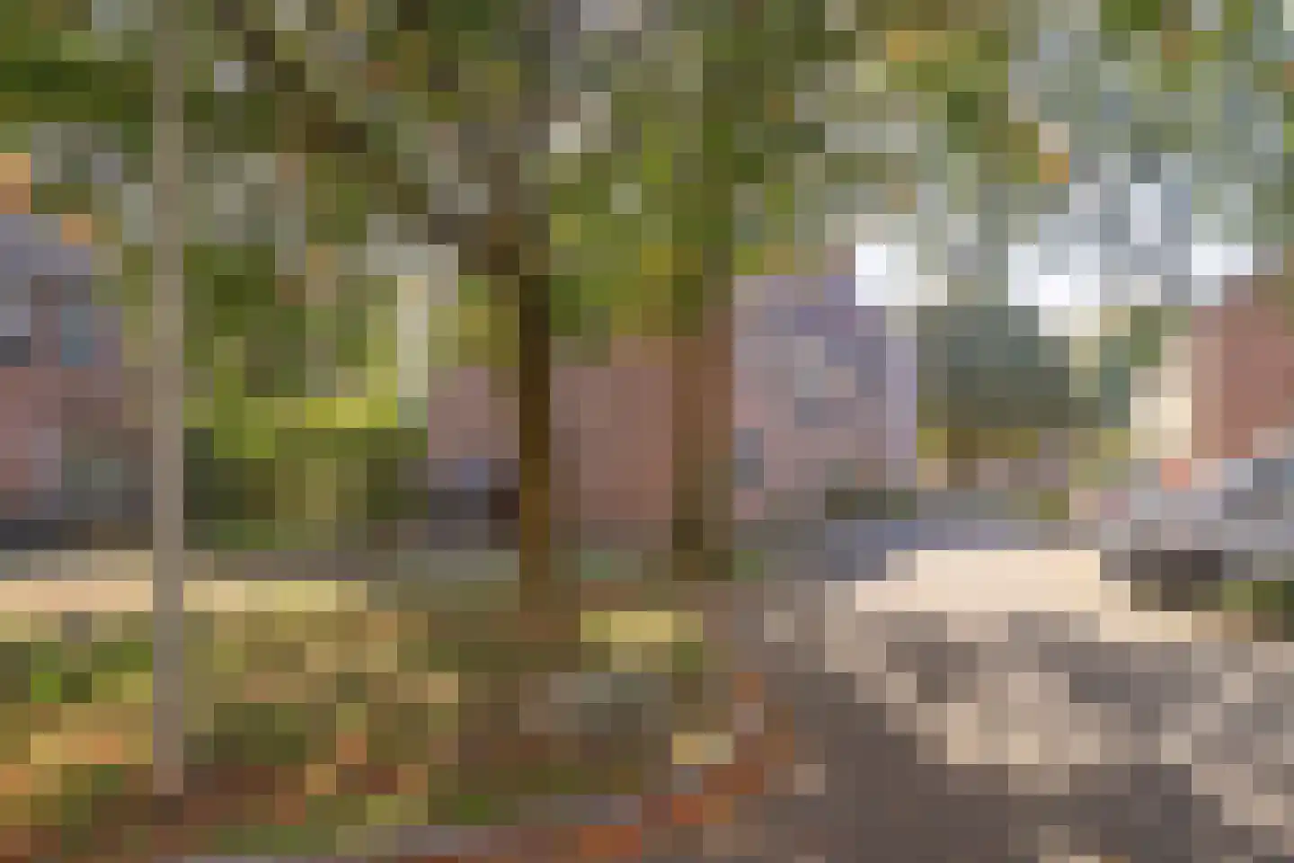 Ramershaag 40 Maastricht thumbnail 21