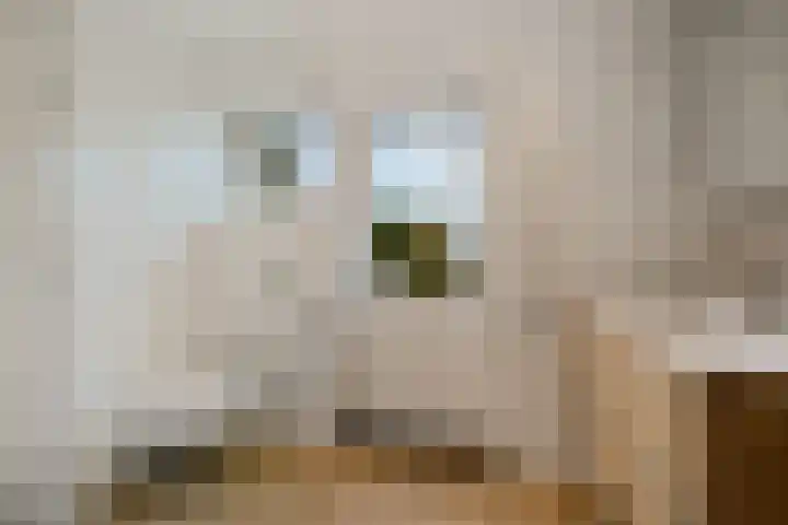 Ramin 1 Rosmalen thumbnail 14