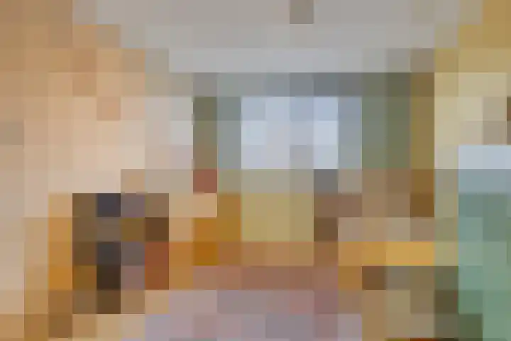 Ramin 1 Rosmalen thumbnail 15