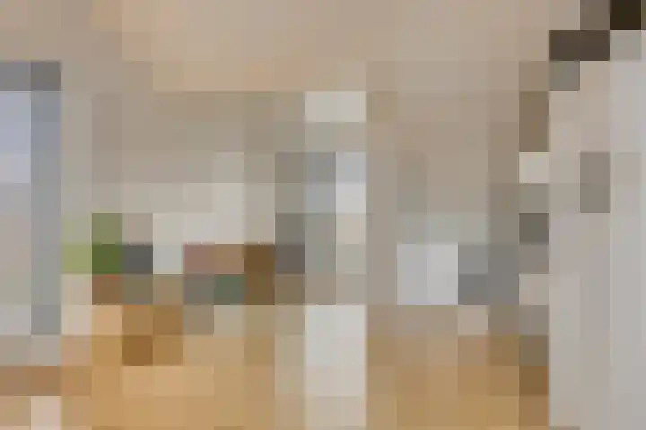 Ramin 1 Rosmalen thumbnail 25