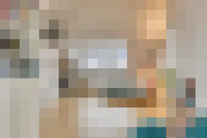 Ramin 1 Rosmalen thumbnail 26
