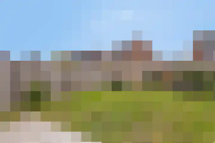 Ramin 1 Rosmalen thumbnail 29