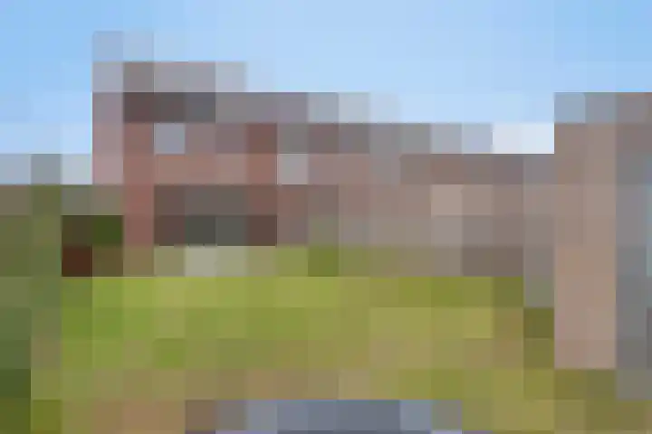 Ramin 1 Rosmalen thumbnail 30