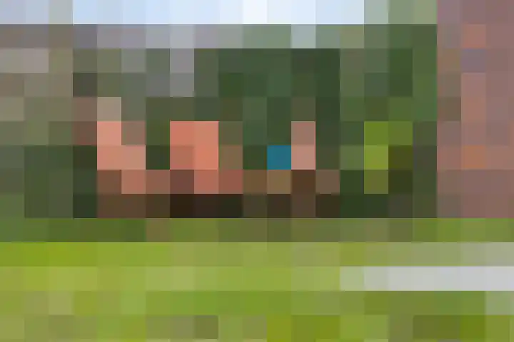 Ramin 1 Rosmalen thumbnail 31