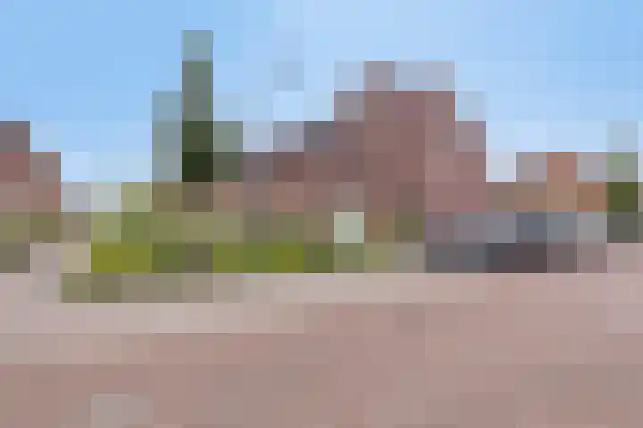 Ramin 1 Rosmalen thumbnail 33
