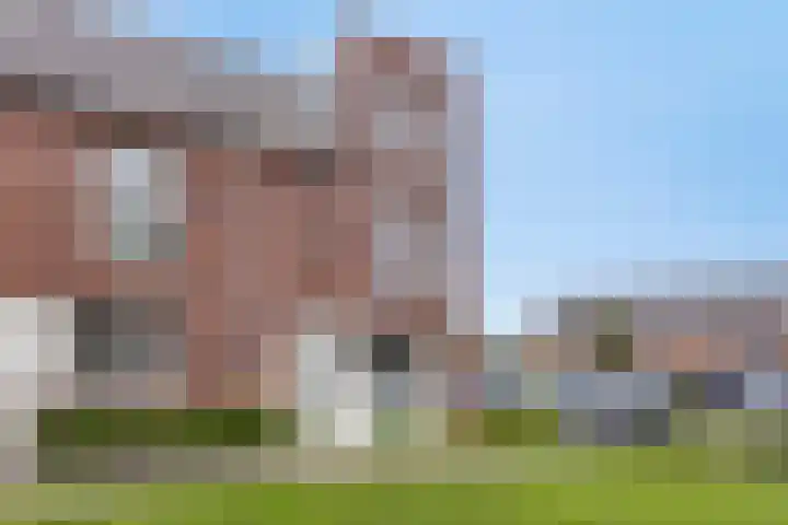 Ramin 1 Rosmalen thumbnail 34
