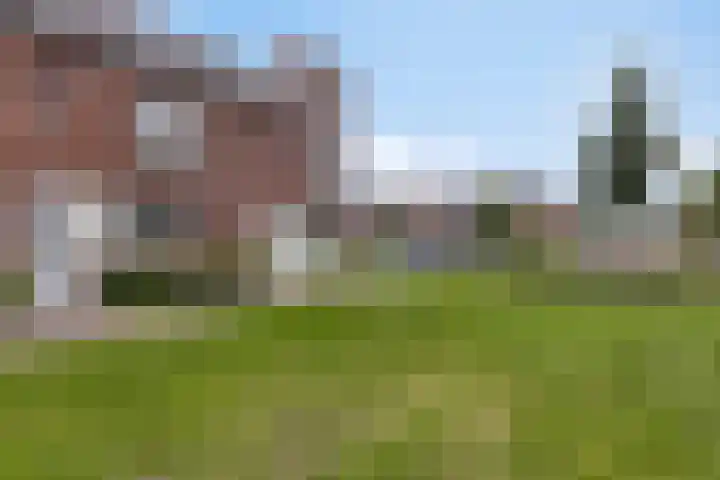 Ramin 1 Rosmalen thumbnail 35