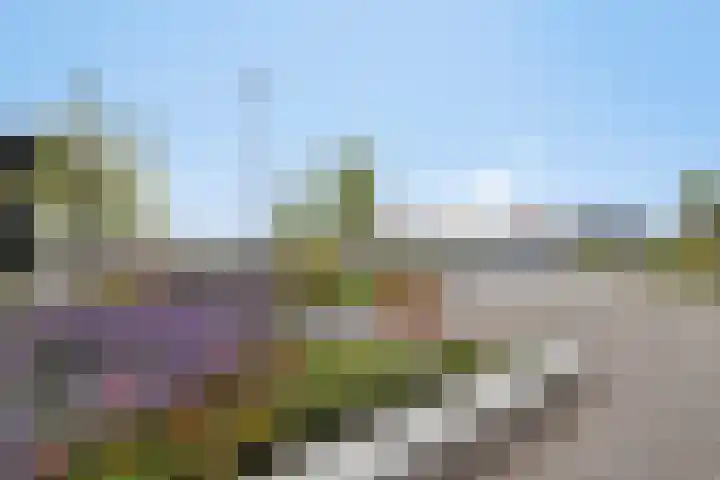 Ramin 1 Rosmalen thumbnail 38