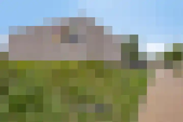 Ramin 1 Rosmalen thumbnail 39