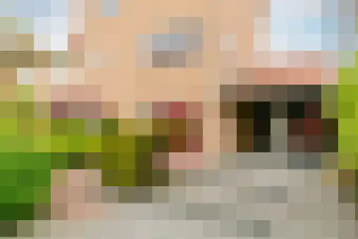 Ramin 1 Rosmalen thumbnail 44