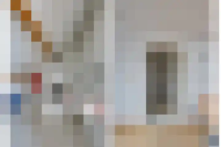 Ramin 1 Rosmalen thumbnail 5