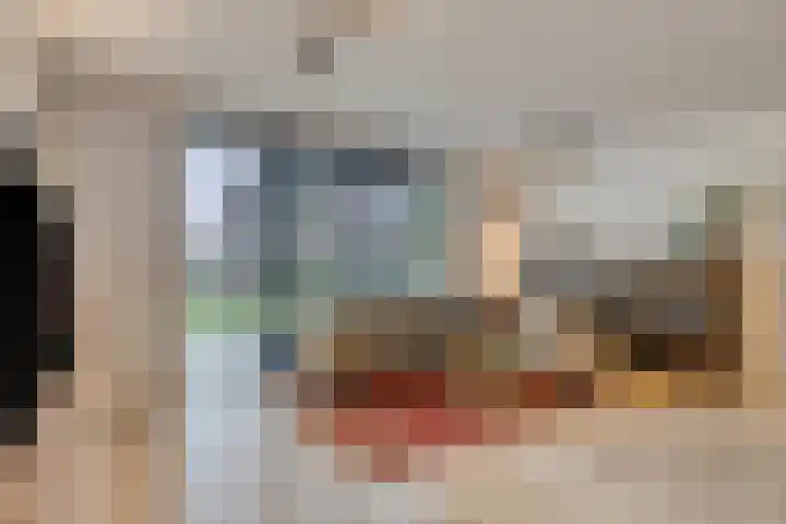Ramin 1 Rosmalen thumbnail 5