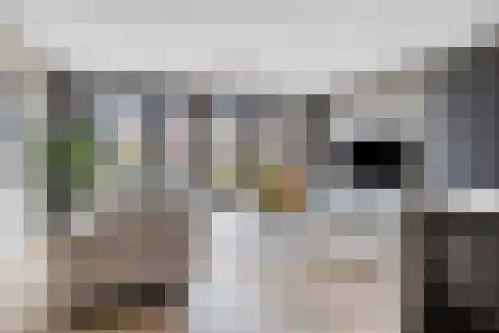 Ramin 5 Rosmalen thumbnail 10