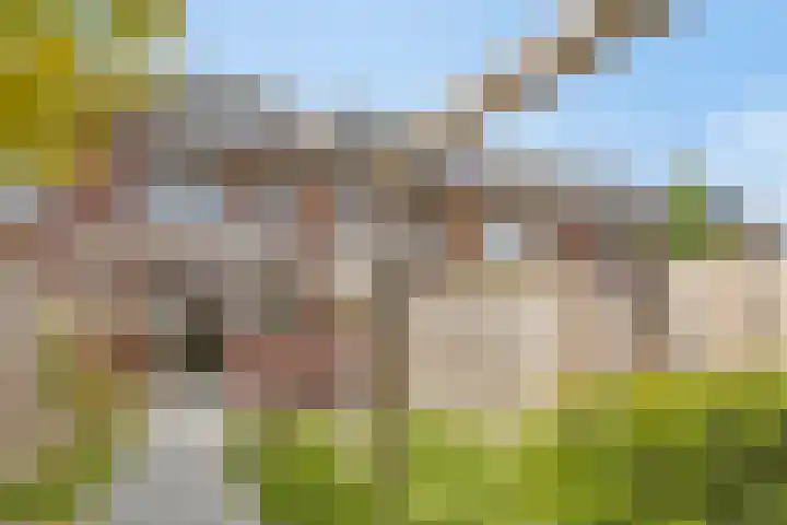 Ramin 5 Rosmalen thumbnail 14