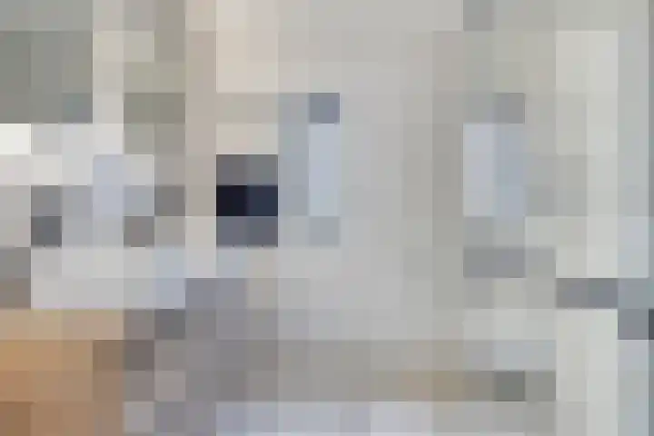 Ramin 5 Rosmalen thumbnail 22