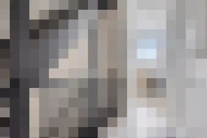 Ramin 5 Rosmalen thumbnail 24