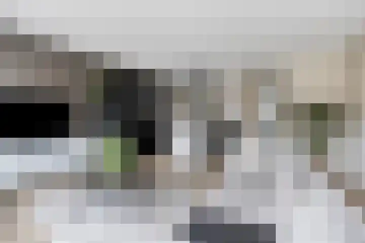 Ramin 5 Rosmalen thumbnail 5