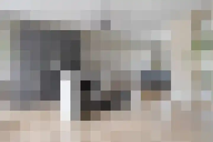 Ramin 5 Rosmalen thumbnail 6