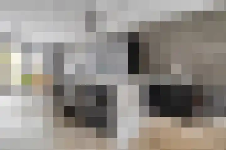 Ramin 5 Rosmalen thumbnail 7