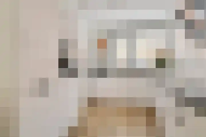 Ramin 9 Rosmalen thumbnail 10