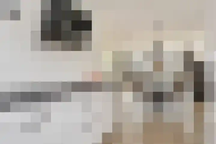 Ramin 9 Rosmalen thumbnail 11