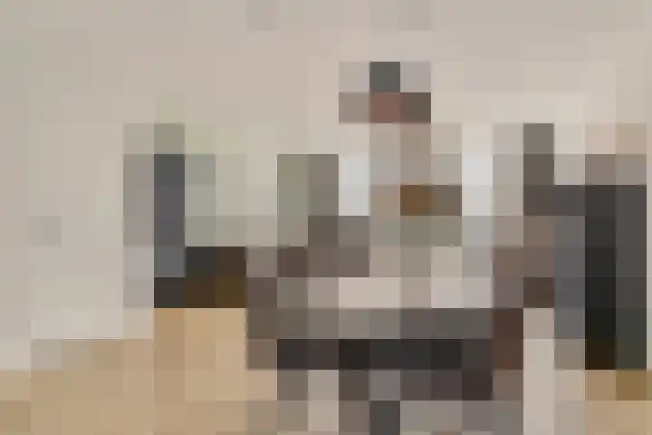 Ramin 9 Rosmalen thumbnail 12