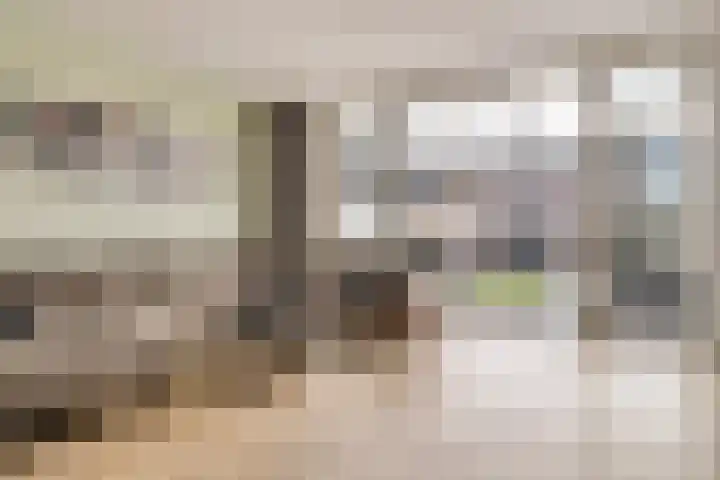 Ramin 9 Rosmalen thumbnail 13