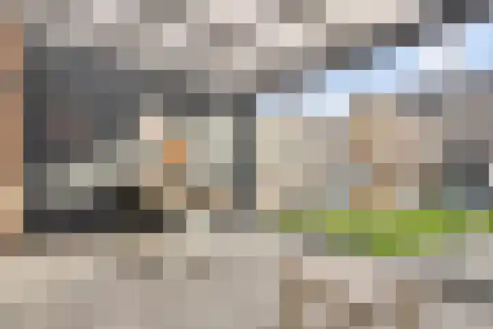 Ramin 9 Rosmalen thumbnail 15