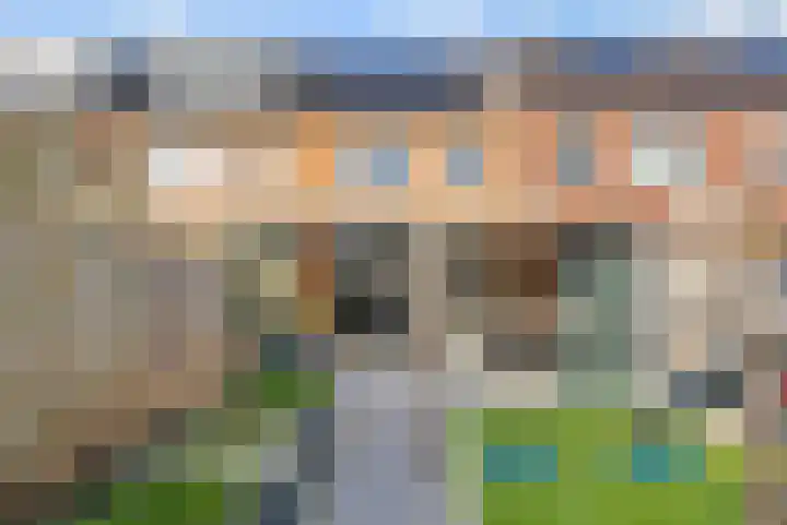Ramin 9 Rosmalen thumbnail 16
