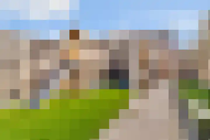 Ramin 9 Rosmalen thumbnail 17