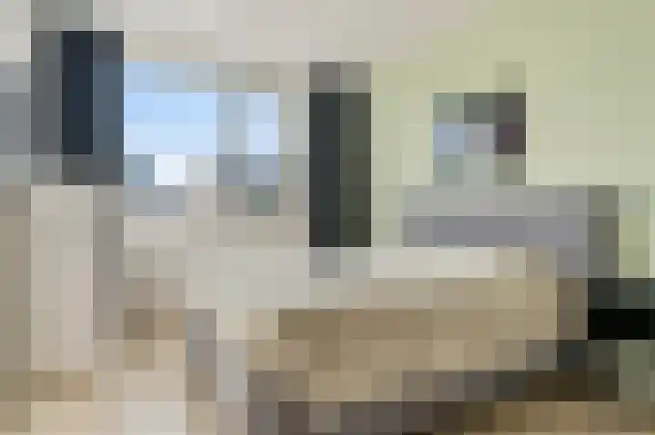Ramin 9 Rosmalen thumbnail 21