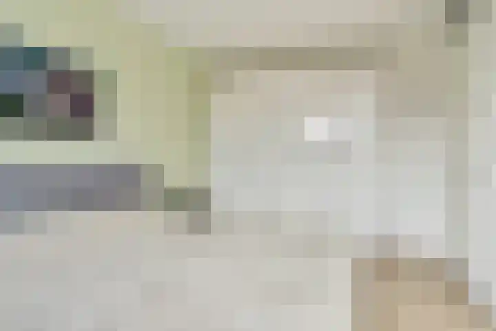 Ramin 9 Rosmalen thumbnail 23