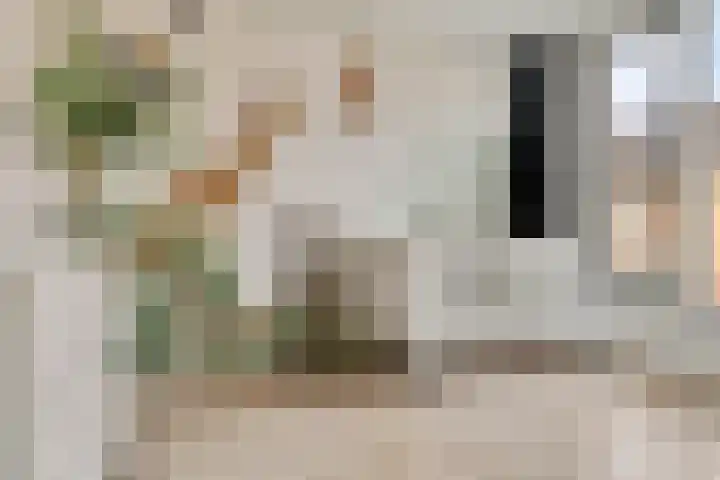 Ramin 9 Rosmalen thumbnail 24