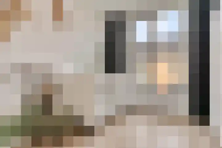 Ramin 9 Rosmalen thumbnail 25
