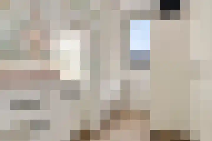 Ramin 9 Rosmalen thumbnail 27