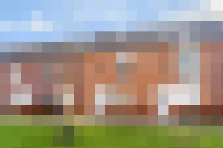 Ramin 9 Rosmalen thumbnail 37