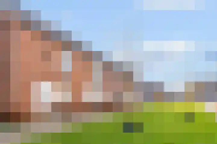 Ramin 9 Rosmalen thumbnail 38