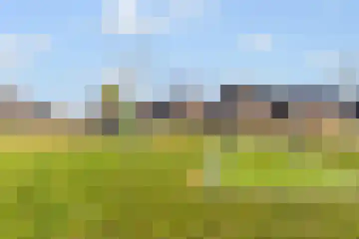 Ramin 9 Rosmalen thumbnail 39