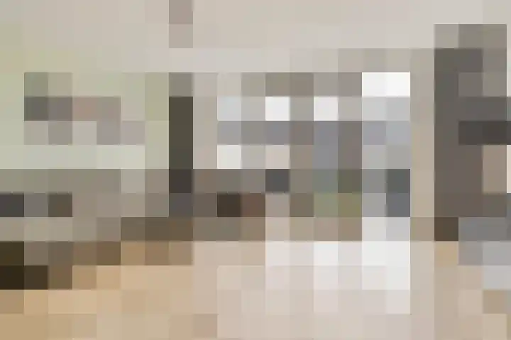Ramin 9 Rosmalen thumbnail 5