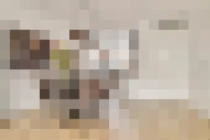 Ramin 9 Rosmalen thumbnail 8