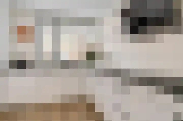 Ramin 9 Rosmalen thumbnail 9